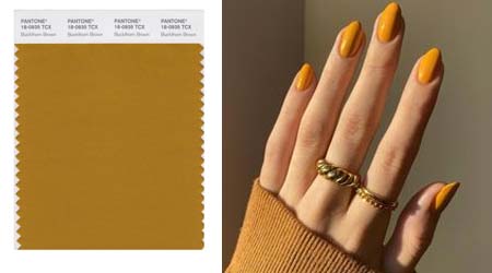 PANTONE 18-0935 Buckthorn Brown — Облепиховый коричневый